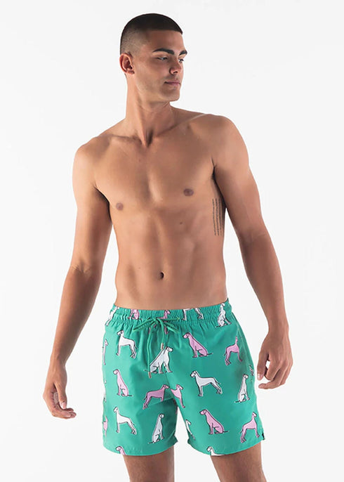The Men's Swim Shorts - Great Dane dubai outfit dress brunch fashion mums